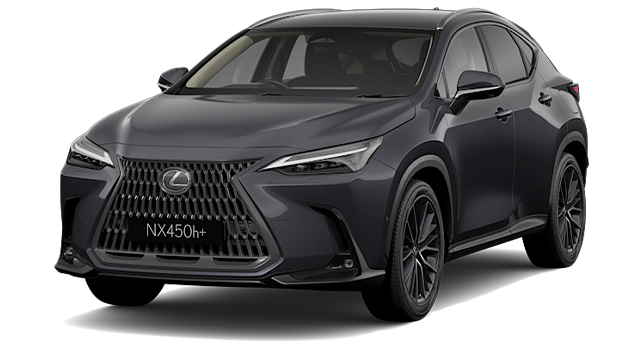 NX Sport CINZA CROMO 