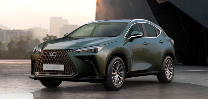 NX Dynamic Verde Musgo