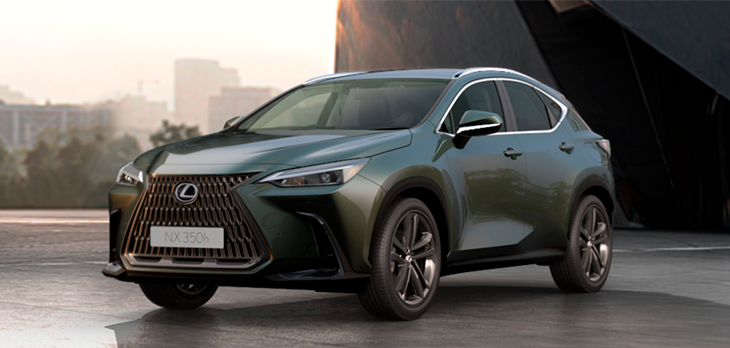 NX Luxury Verde Musgo