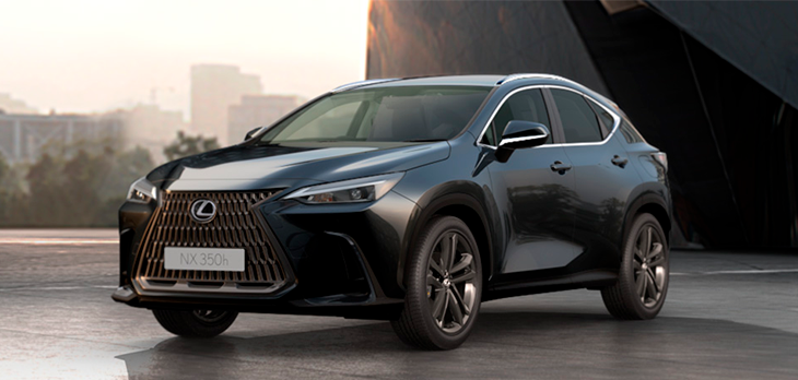 NX Luxury Preto Grafite