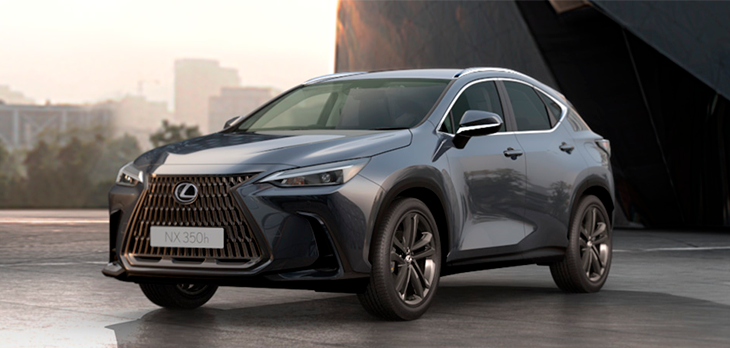 NX Luxury Cinza Cromo