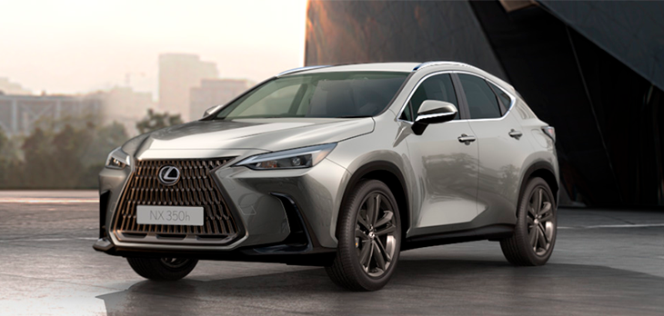 NX Luxury Cinza Titânio