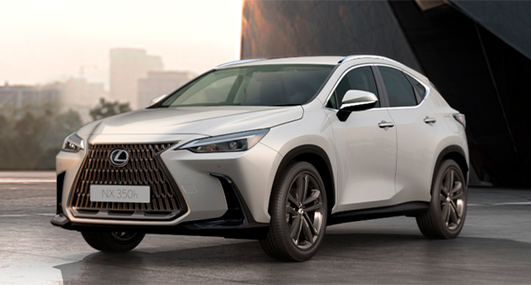 NX Luxury galeria 10