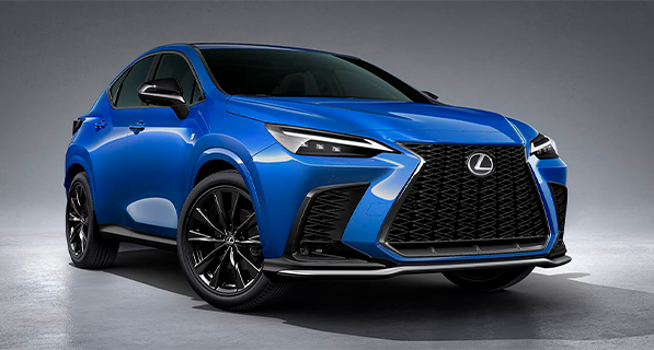 NX Sport galeria 001