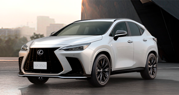 NX Sport galeria 001