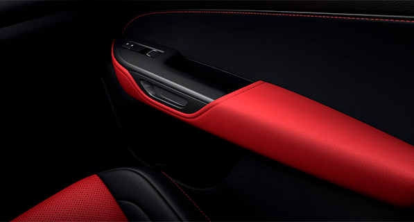 NX Sport galeria 001